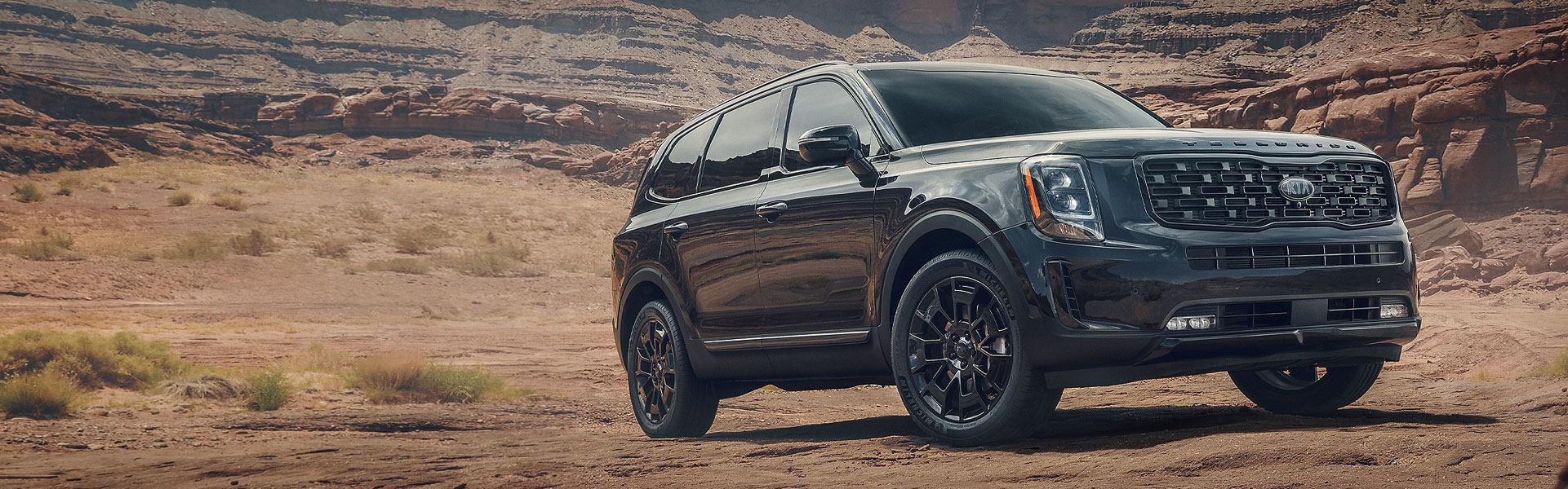 2021 Telluride kia
