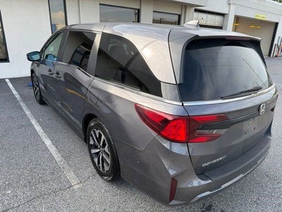 2025 Honda Odyssey EX-L